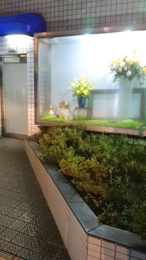 Hotel Loire (Adults Only) 大阪市 エクステリア 写真